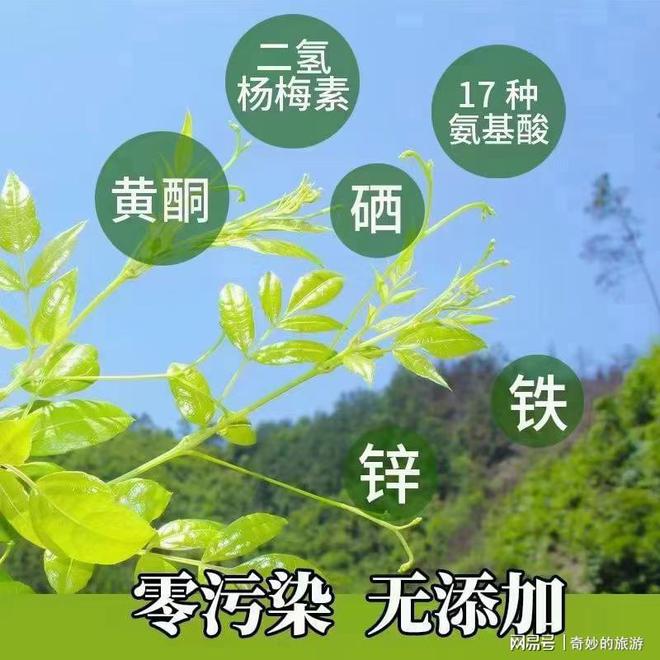 富硒茶是哪类的茶叶呢(茶叶茶类富硒是什么东西)-硒宝网