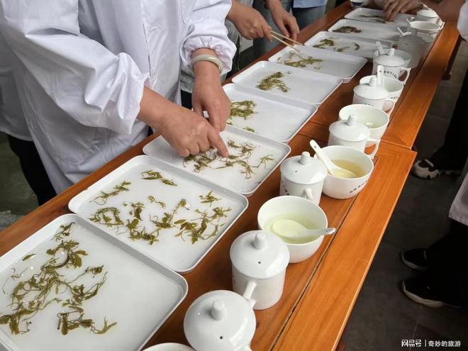 富硒茶是哪类的茶叶呢(茶叶茶类富硒是什么东西)-硒宝网