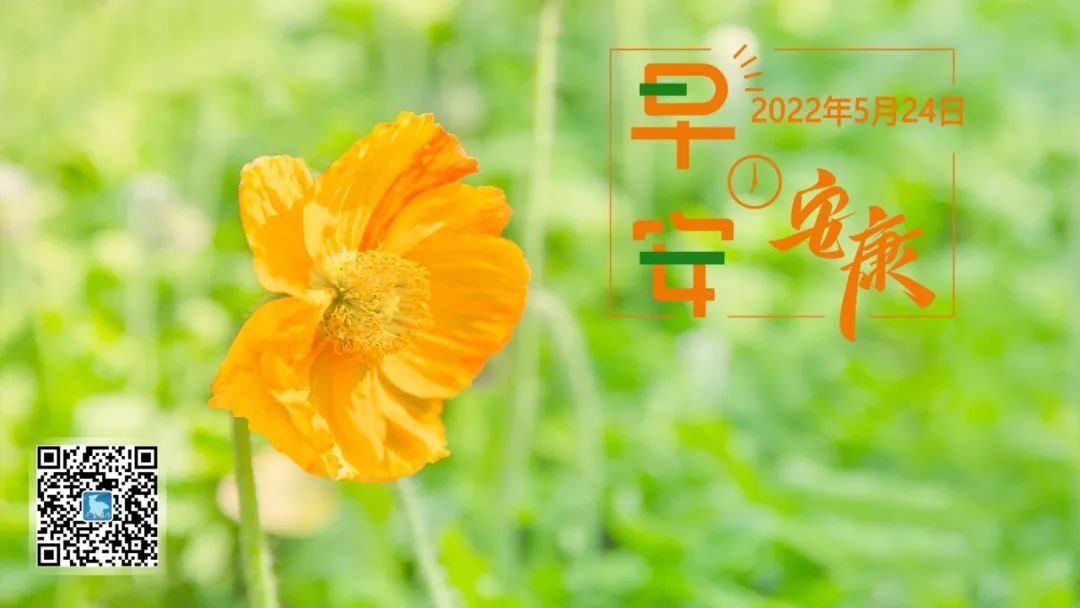 安康富硒茶的品牌价值（安康富硒茶主要产自哪里）-硒宝网