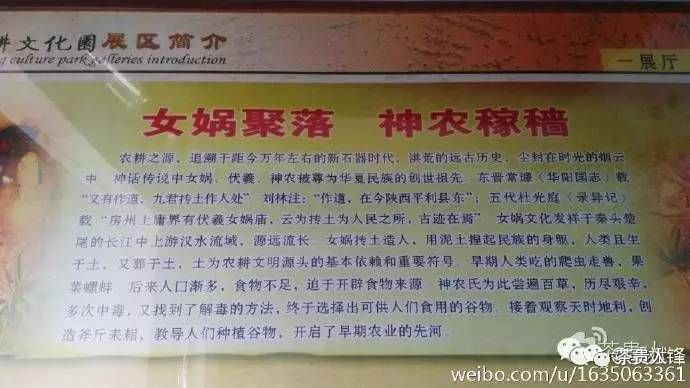 紫阳富硒茶王是谁做的(紫阳富硒茶厂)-硒宝网