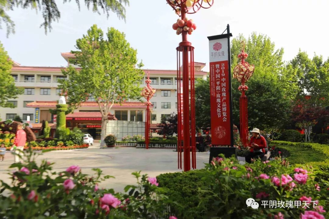 芳蕾富硒玫瑰茶多少钱(玫瑰花蕾茶的市场价格)-硒宝网