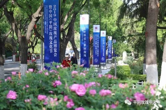 芳蕾富硒玫瑰茶多少钱(玫瑰花蕾茶的市场价格)-硒宝网