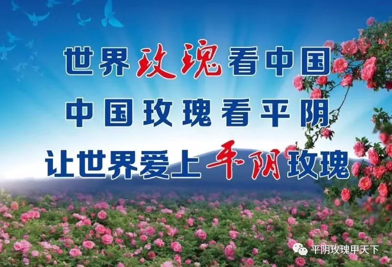 芳蕾富硒玫瑰茶多少钱(玫瑰花蕾茶的市场价格)-硒宝网