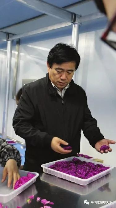 芳蕾富硒玫瑰茶多少钱(玫瑰花蕾茶的市场价格)-硒宝网