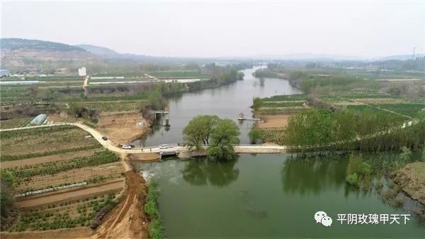 芳蕾富硒玫瑰茶多少钱(玫瑰花蕾茶的市场价格)-硒宝网
