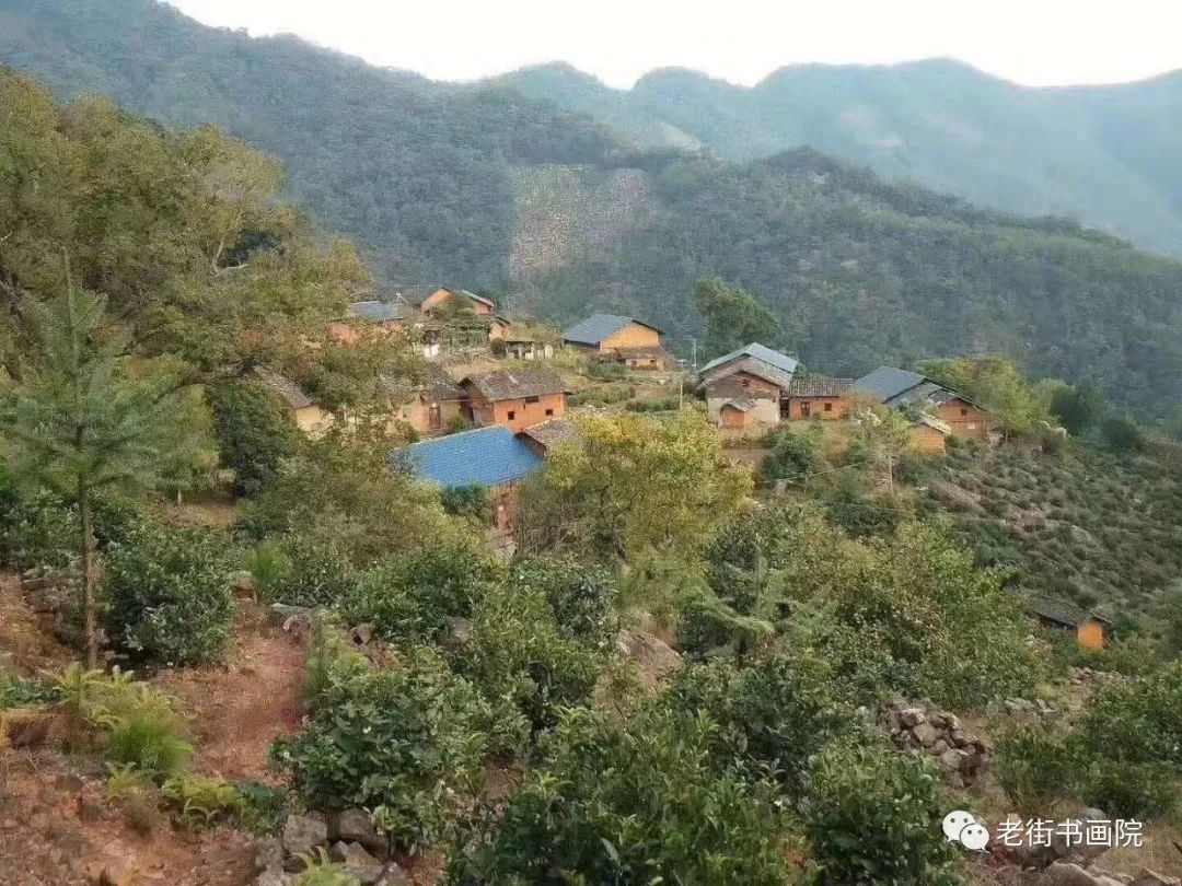 仙寓山富硒茶是红茶吗(富硒红茶产自哪儿)-硒宝网