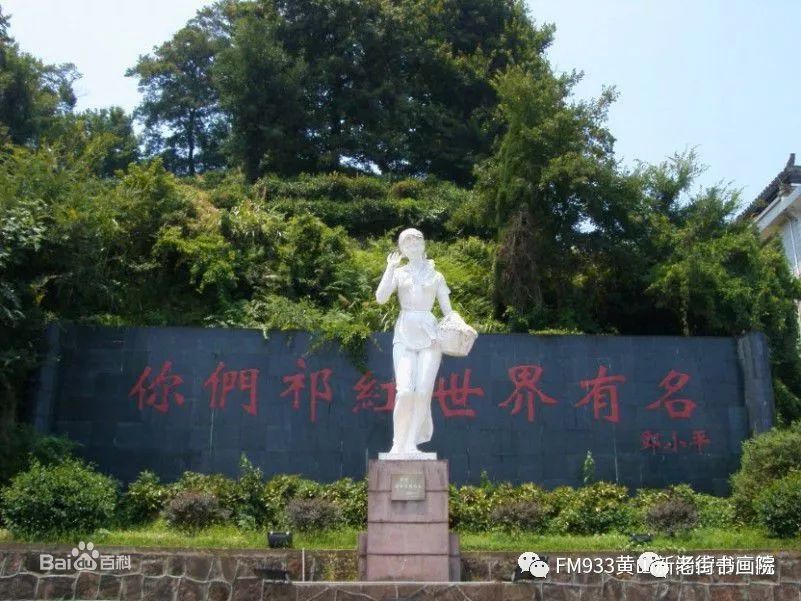 仙寓山富硒茶是红茶吗(富硒红茶产自哪儿)-硒宝网