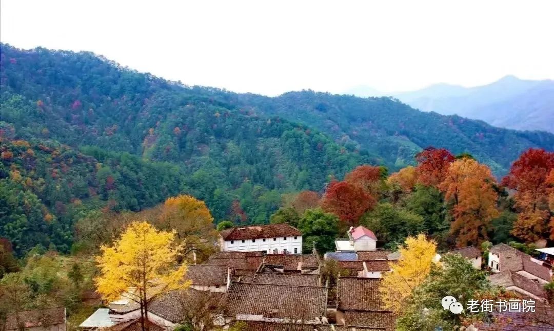 仙寓山富硒茶是红茶吗(富硒红茶产自哪儿)-硒宝网
