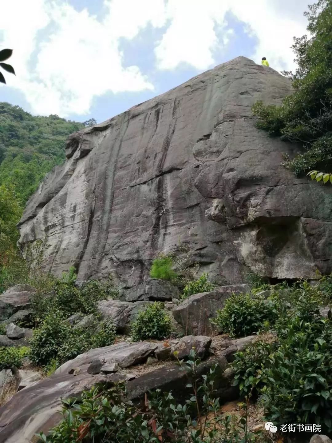 仙寓山富硒茶是红茶吗(富硒红茶产自哪儿)-硒宝网