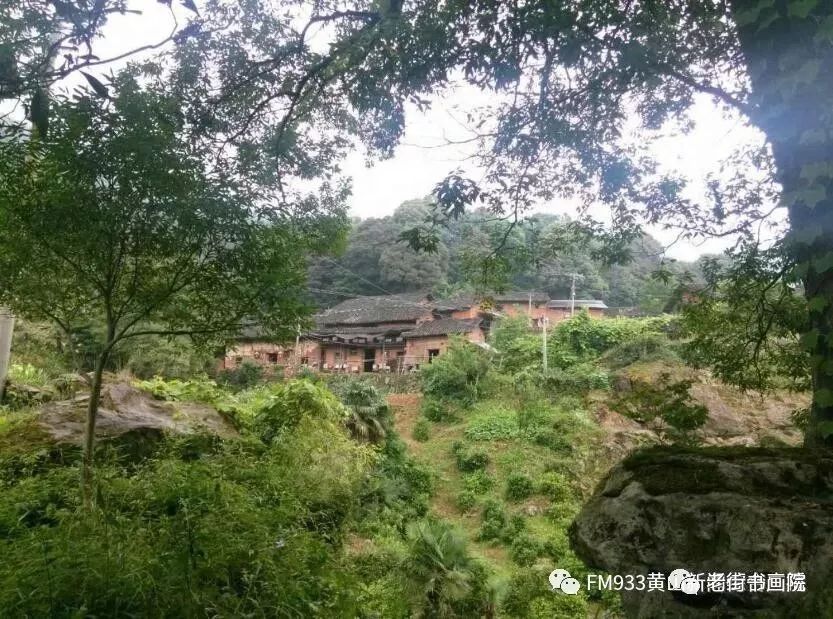 仙寓山富硒茶是红茶吗(富硒红茶产自哪儿)-硒宝网