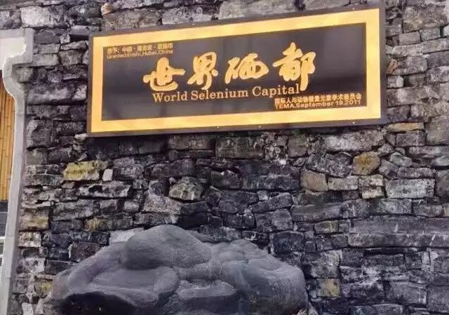 富硒藤茶多少度水冲泡(富硒藤茶多少钱一斤)-硒宝网