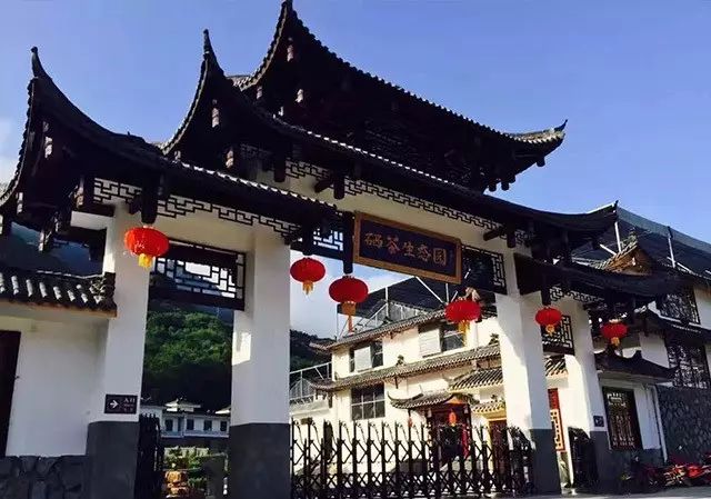 富硒藤茶多少度水冲泡(富硒藤茶多少钱一斤)-硒宝网