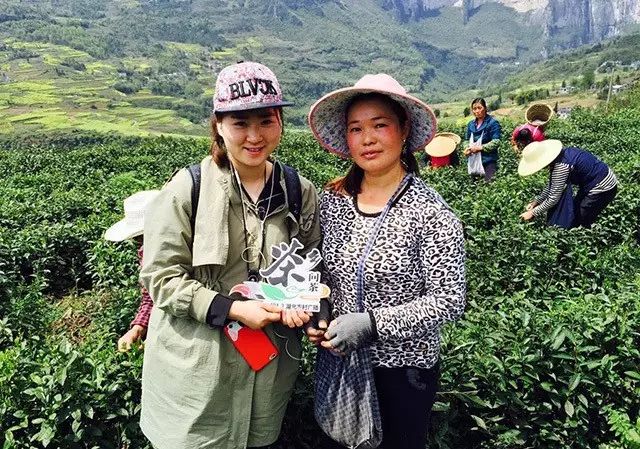 富硒藤茶多少度水冲泡(富硒藤茶多少钱一斤)-硒宝网