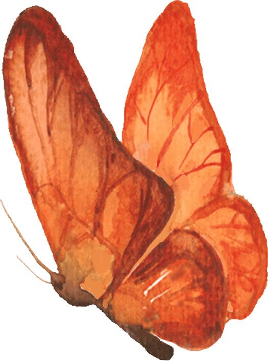 芳蕾富硒玫瑰茶多少钱(芳蕾玫瑰复合酵素原液)-硒宝网