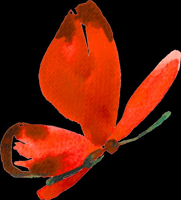 芳蕾富硒玫瑰茶多少钱(芳蕾玫瑰复合酵素原液)-硒宝网