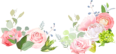 芳蕾富硒玫瑰茶多少钱(芳蕾玫瑰复合酵素原液)-硒宝网