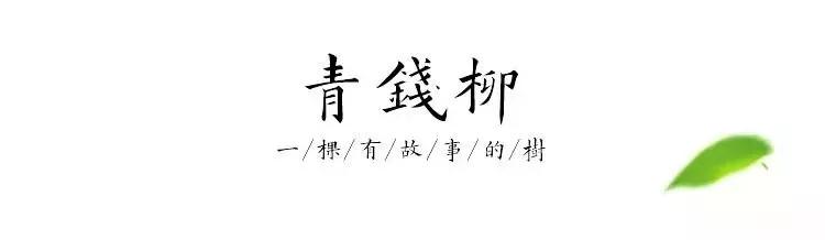 富硒血通茶能降血糖吗（血糖能降茶血通富硒吗）-硒宝网