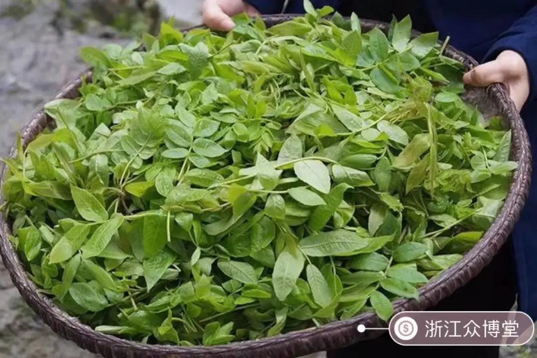 富硒血通茶能降血糖吗（血糖能降茶血通富硒吗）-硒宝网