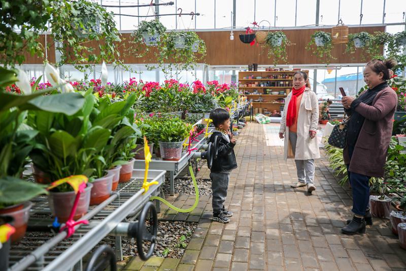 陕西省富硒茶有限公司（陕西富硒茶叶）-硒宝网