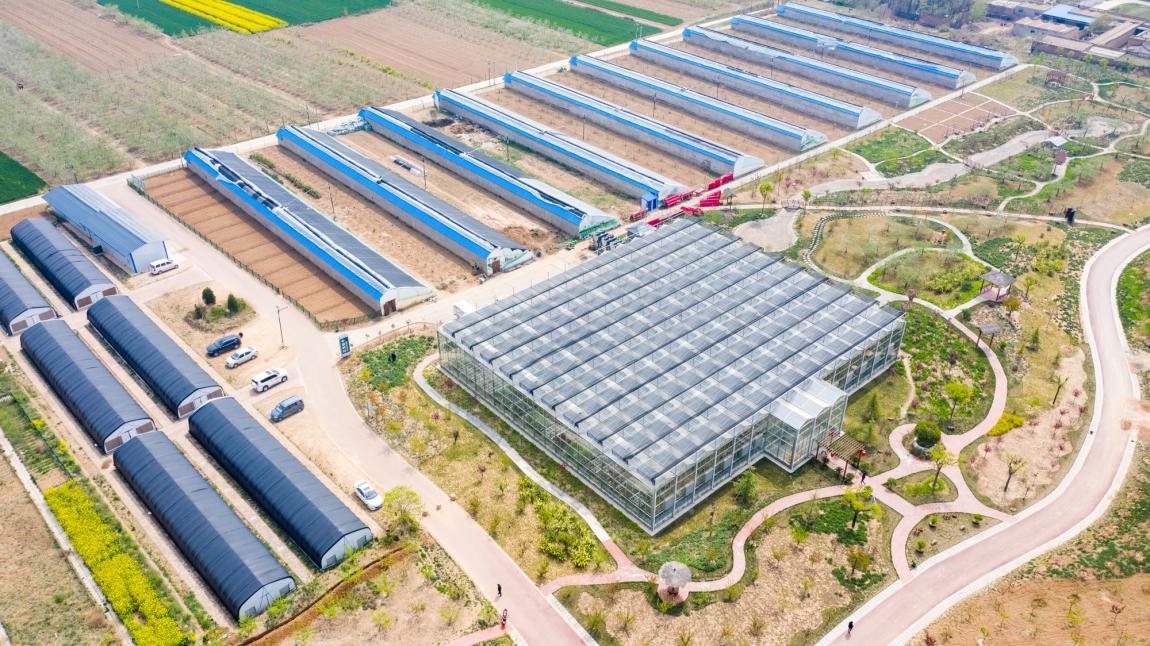 陕西省富硒茶有限公司（陕西富硒茶叶）-硒宝网