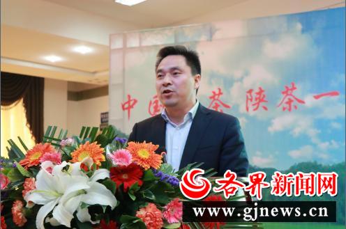 安康富硒陕茶一号红茶（陕西安康富硒茶多少钱）-硒宝网