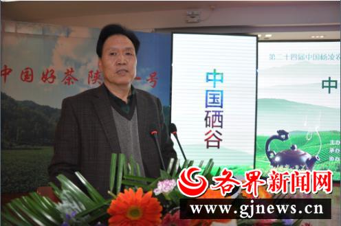 安康富硒陕茶一号红茶（陕西安康富硒茶多少钱）-硒宝网