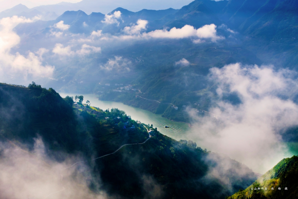 安康富硒陕茶一号红茶（安康富硒茶和汉中茶哪个好）-硒宝网