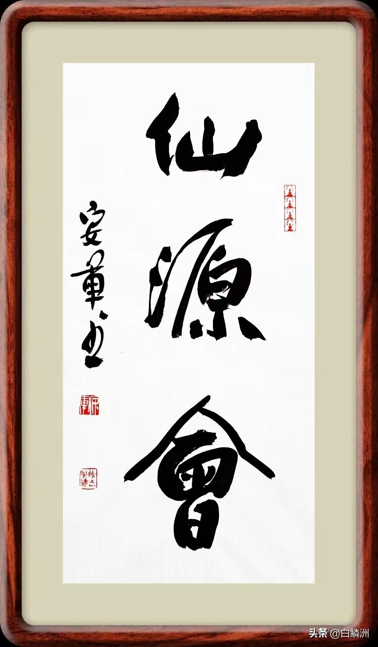 富硒皇菊茶产在哪里好(菊茶产富硒好不好)-硒宝网