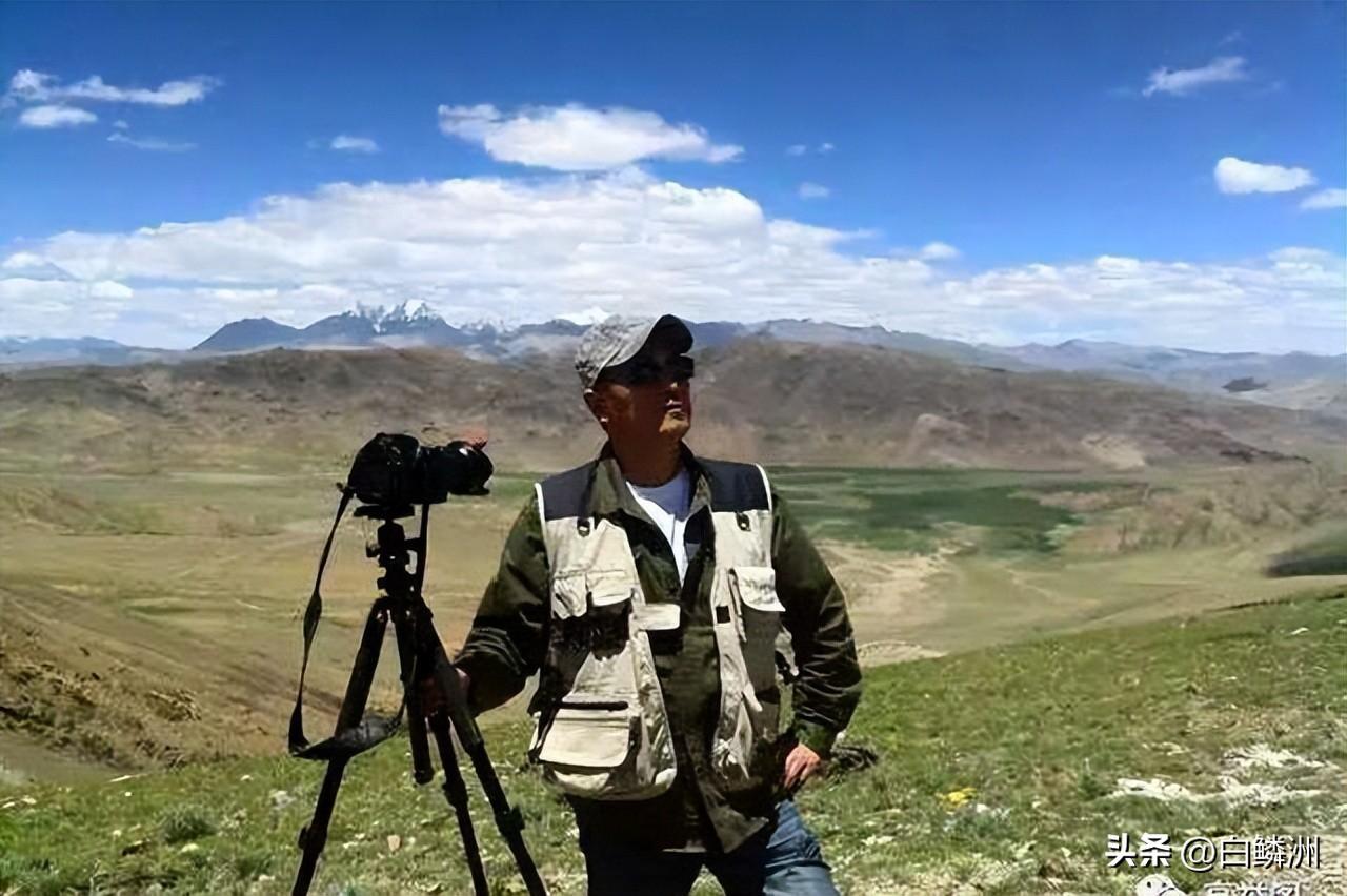 富硒皇菊茶产在哪里好(菊茶产富硒好不好)-硒宝网