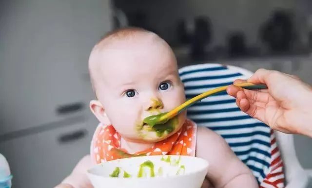 八个月宝宝补铁的食物有哪些（食物宝宝补铁有月经正常吗）-硒宝网