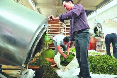 什么是八仙茶富硒元素（八仙茶叶）-硒宝网