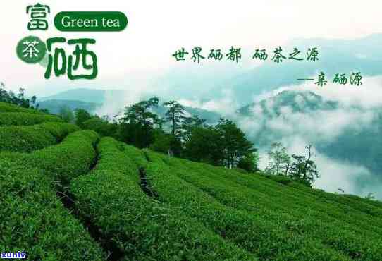 富硒茶怎么喝比较好呢（喝富硒茶有什么坏处）-硒宝网