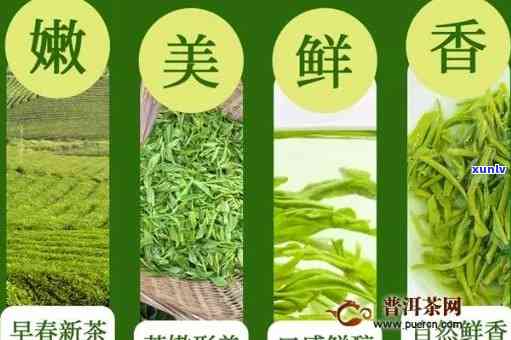 富硒茶怎么喝比较好呢（喝富硒茶有什么坏处）-硒宝网