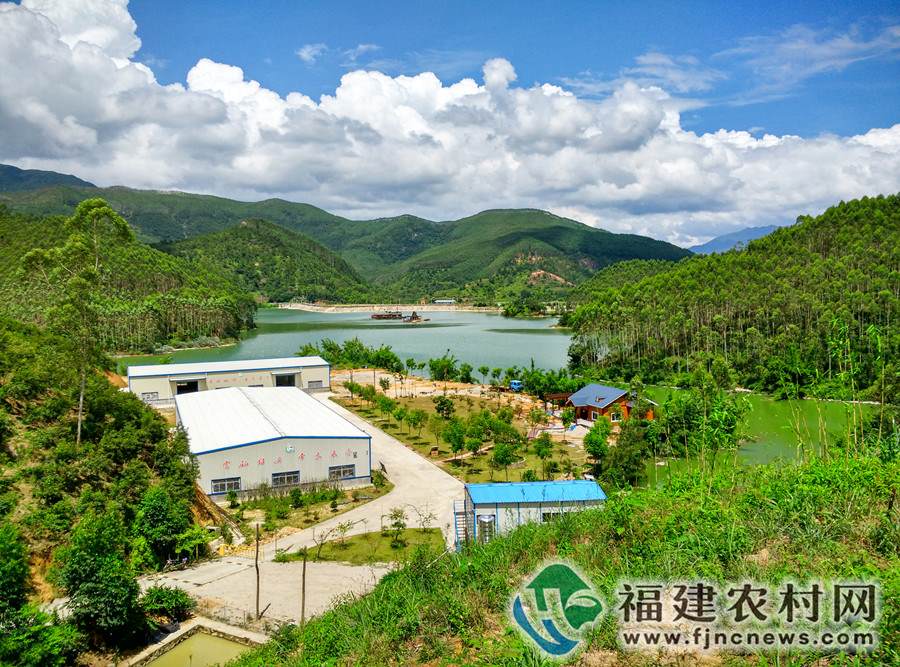 有机富硒八仙茶养胃吗(富硒八仙茶价格)-硒宝网