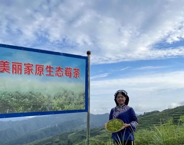 富硒养生茶什么时候喝(喝富硒茶身体有什么反应)-硒宝网