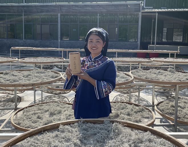 富硒养生茶什么时候喝(喝富硒茶身体有什么反应)-硒宝网