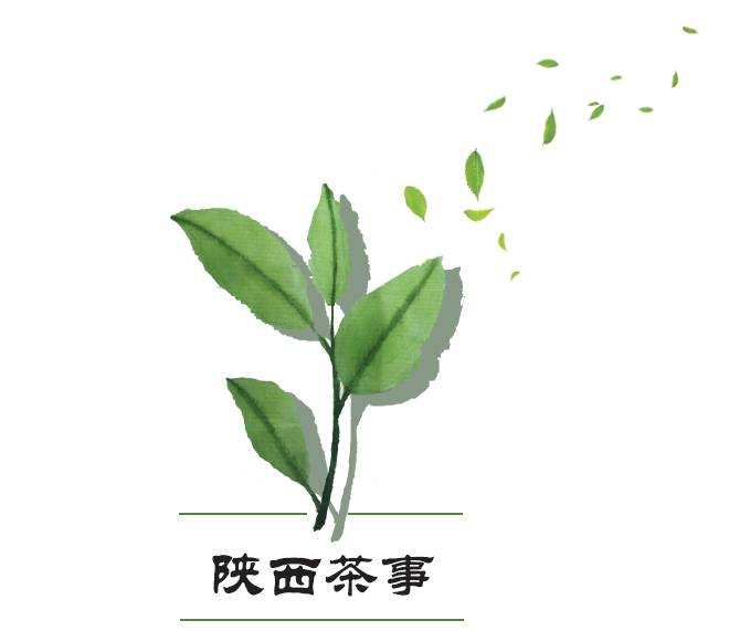 云南富硒八仙茶哪里买(八仙山富硒红茶)-硒宝网