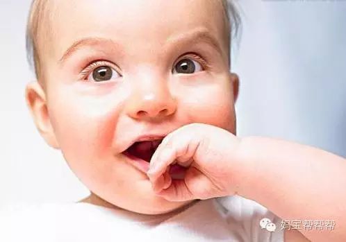 小狗啃石头喂什么微量元素(狗狗偷吃了很多微量元素)-硒宝网