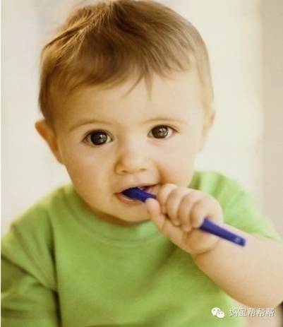 小狗啃石头喂什么微量元素(狗狗偷吃了很多微量元素)-硒宝网