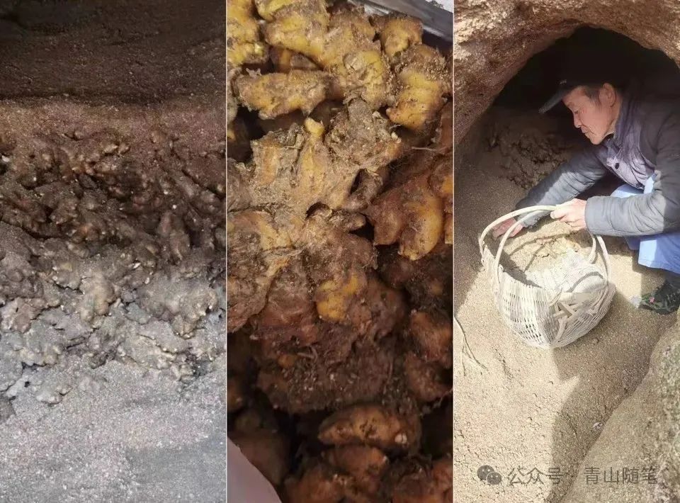 富硒养生茶什么时候喝（养生喝茶富硒时候喝好吗）-硒宝网