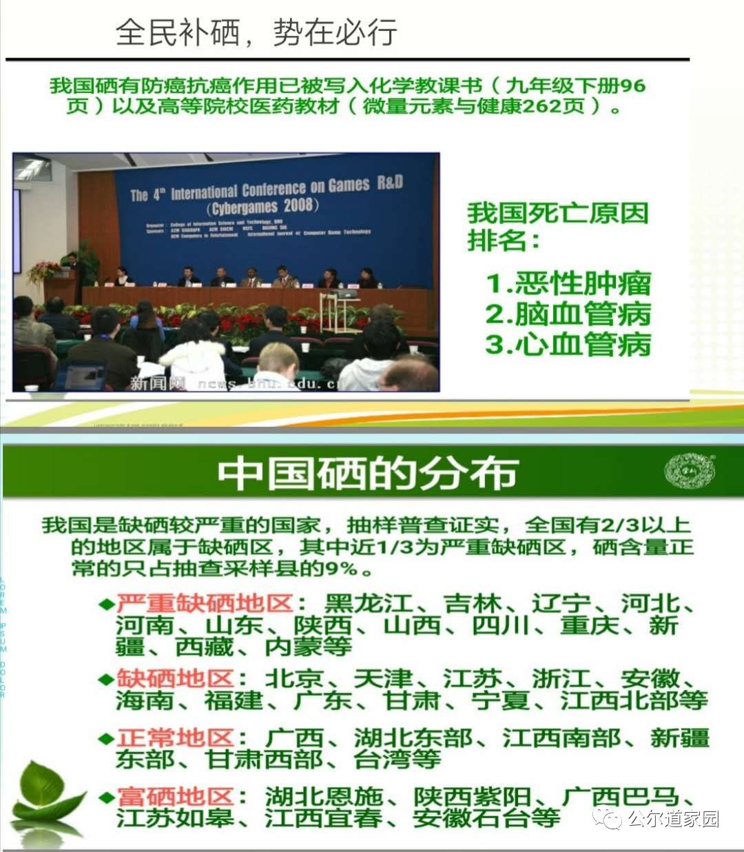 富硒藤茶广告词是什么(富硒藤茶的作用和功效)-硒宝网