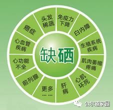 富硒藤茶广告词是什么(富硒藤茶的作用和功效)-硒宝网