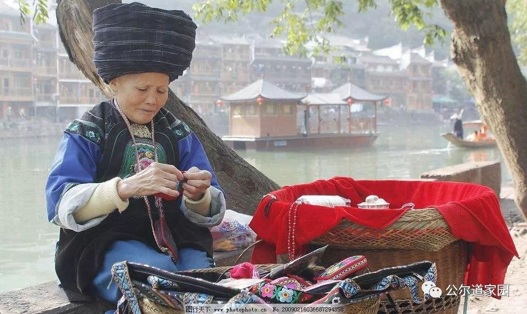 富硒藤茶广告词是什么(富硒藤茶的作用和功效)-硒宝网