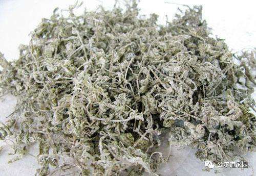 富硒藤茶广告词是什么(富硒藤茶的作用和功效)-硒宝网