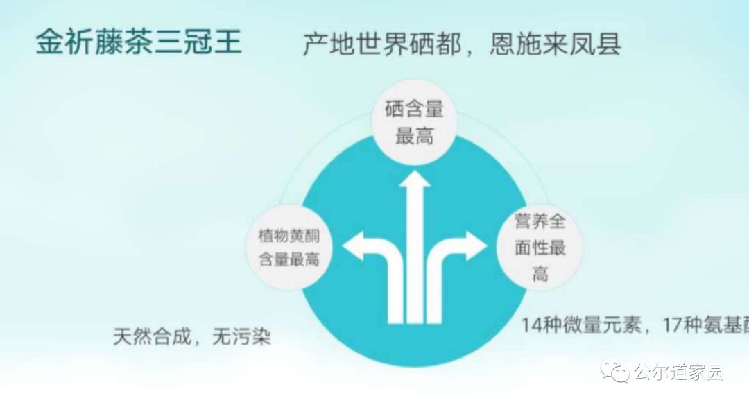 富硒藤茶广告词是什么(富硒藤茶的作用和功效)-硒宝网