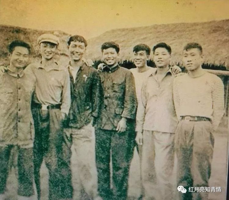 小狗啃石头喂什么微量元素（小狗啃石头怎么办）-硒宝网