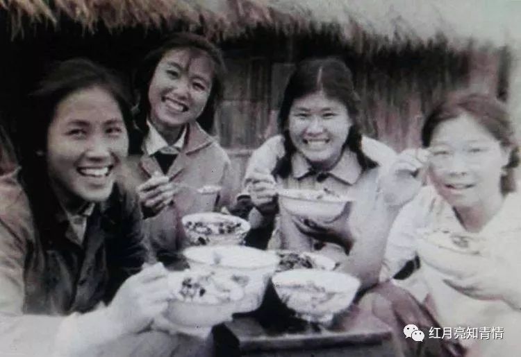 小狗啃石头喂什么微量元素（小狗啃石头怎么办）-硒宝网