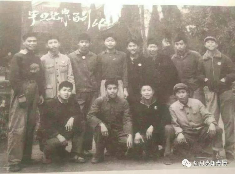 小狗啃石头喂什么微量元素（小狗啃石头怎么办）-硒宝网