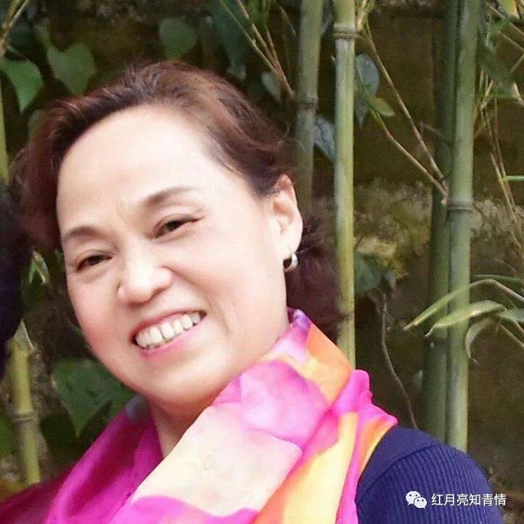 小狗啃石头喂什么微量元素（小狗啃石头怎么办）-硒宝网