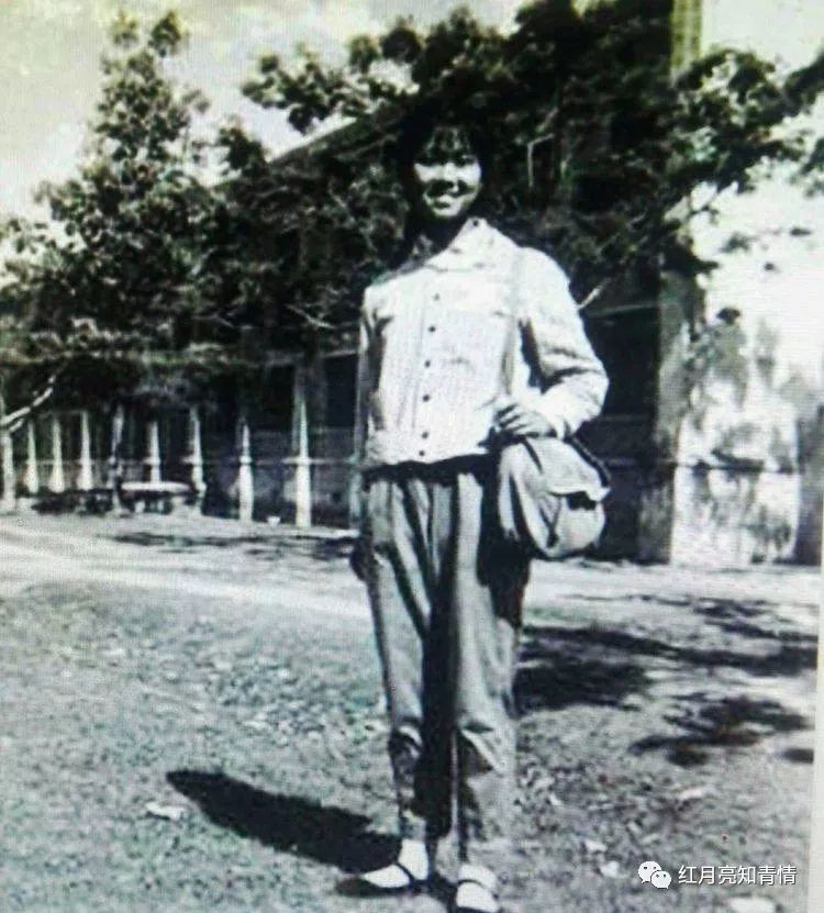 小狗啃石头喂什么微量元素（小狗啃石头怎么办）-硒宝网